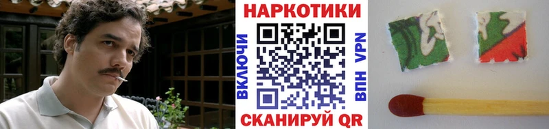 Какие есть наркотики Красный Сулин Гашиш  hydra ссылка  Alpha-PVP  АМФЕТАМИН  Меф  Бошки Шишки  Cocaine 