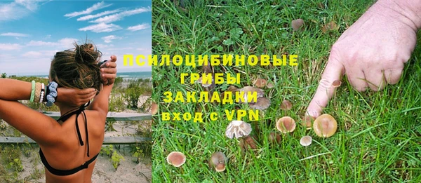 кристаллы Белокуриха