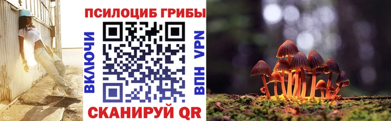 Псилоцибиновые грибы мицелий  Красный Сулин 